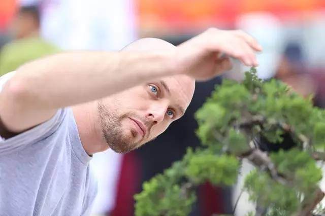 中外青年盆景艺术家pk 谁更帅？