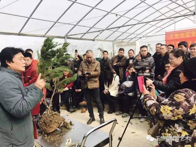 王恒亮盆景艺术公益大讲堂2017春季学习班(第六集)