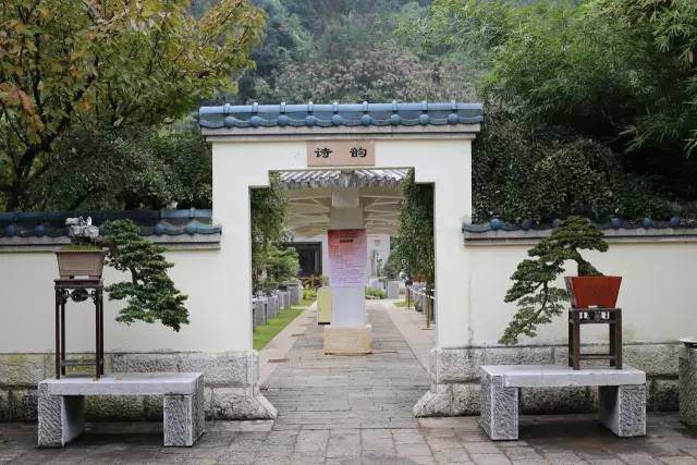 2017年昆明&ldquo;世博杯&rdquo;中国盆景艺术精品邀请展将在五一期间举行