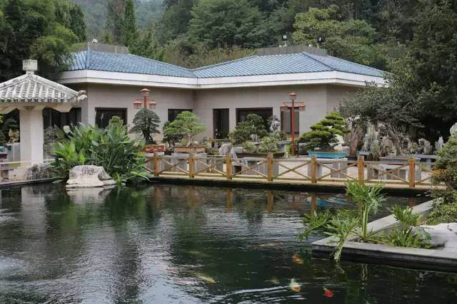 2017年昆明世博杯盆景艺术展