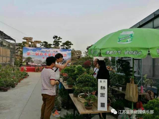 2017扬州.江都第二届春季盆景展销会暨江都“诗话盆景展”
