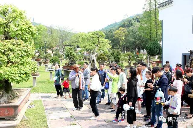 培养盆景艺术下一代的摇篮