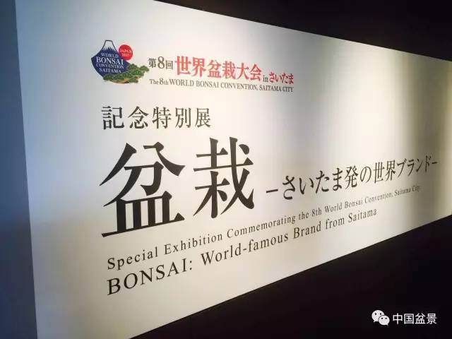 日本盆景界瞄准中国的盆景市场