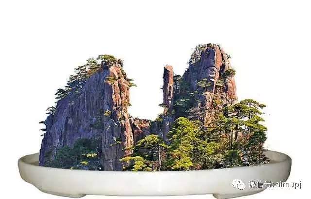 山水盆景如何做到应虚实相宜,疏密有致?