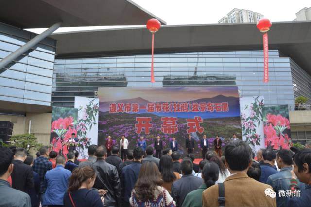 遵义市第一届市花杜鹃盆景奇石展在新蒲新区开展