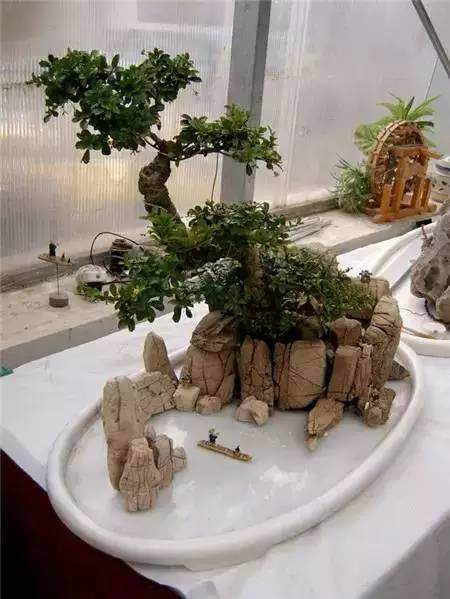 图解 DIY自己制作一个山水盆景的方法