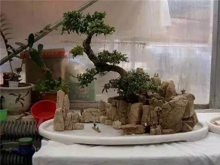 图解 DIY自己制作一个山水盆景的方法
