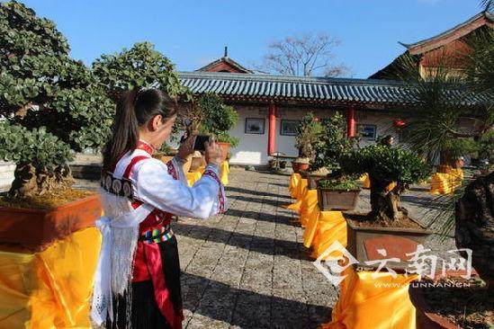 昆明市绿化局主办云南第三届盆景展多图