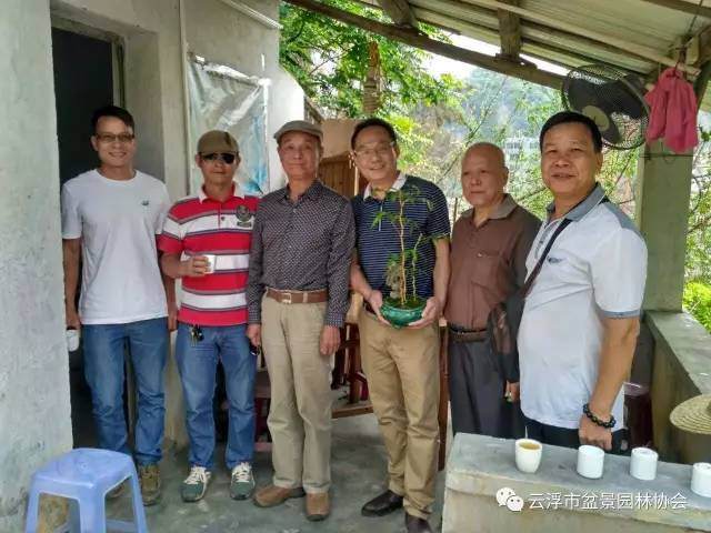 盆景艺术大师郑永泰莅临云浮传经送宝 图片