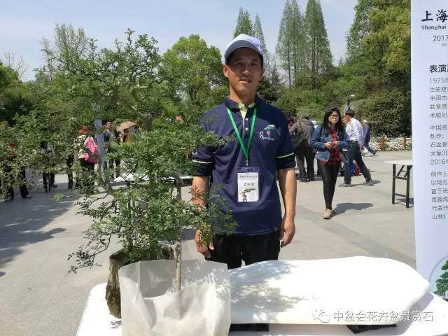 2017上海青年盆景制作论坛(之二)