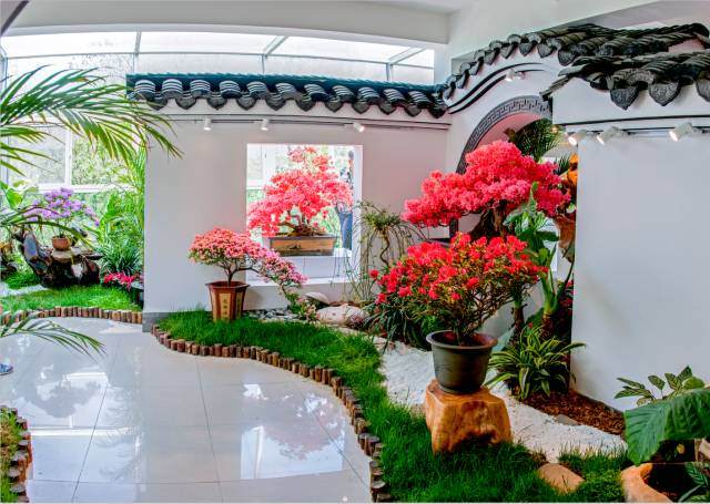 【多图】上海滨江盆景大讲堂第三期——杜鹃花盆景制作