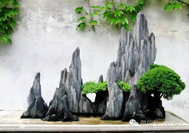 山石盆景的艺术之美