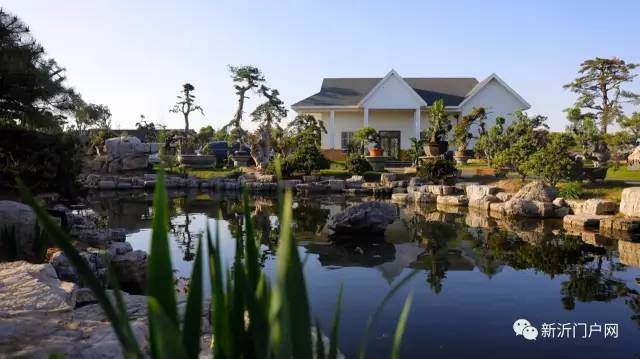 带你走进不一样的仙境&mdash;&mdash;新沂盆景创意小镇【图】