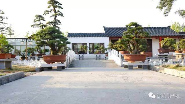带你走进不一样的仙境&mdash;&mdash;新沂盆景创意小镇【图】