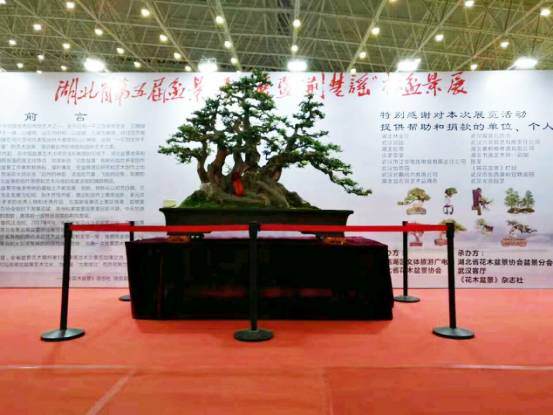 教你动手DIY山石盆景【多图】