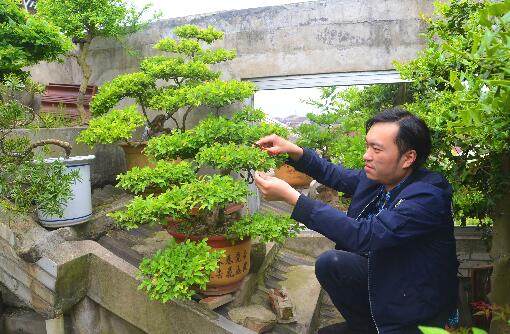 QQ截图20170503192634