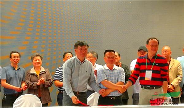 滇沪粤闽盆景协会缔结友好合作关系【多图】