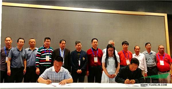 滇沪粤闽盆景协会缔结友好合作关系【多图】