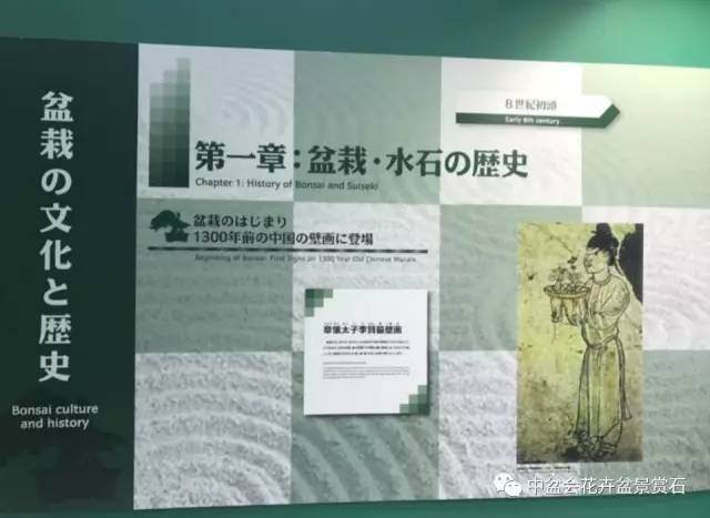 赵庆泉老师参加日本第八届世界盆景大会