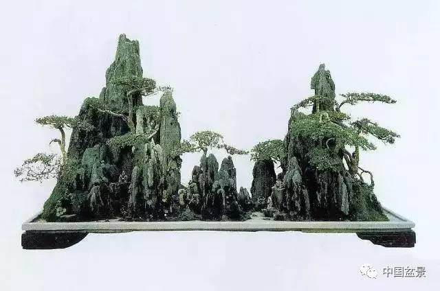 2017年成都金牛区盆景公益培训5月中旬开讲