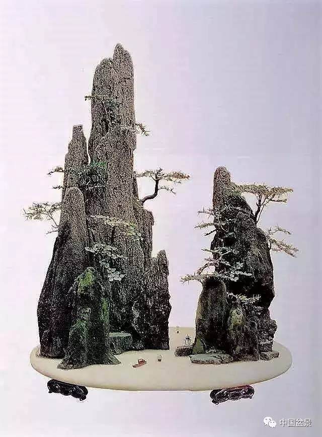 2017年成都金牛区盆景公益培训5月中旬开讲