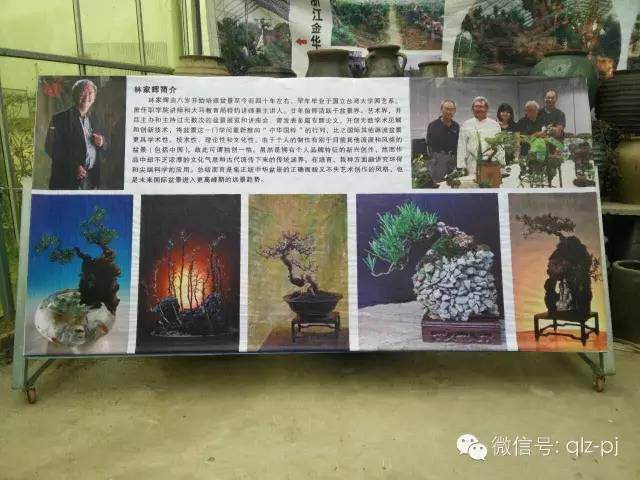 完整的青龙庄盆景