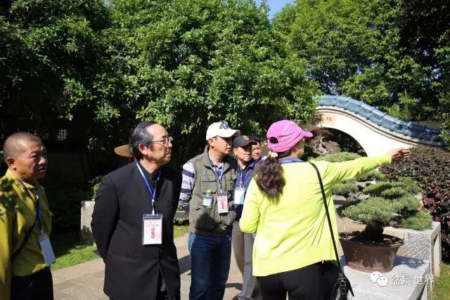 2017年昆明&ldquo;世博杯&rdquo;中国盆景精品邀请展