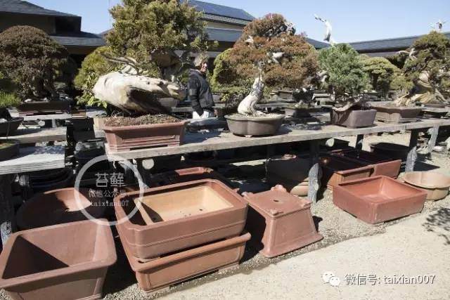 宜兴紫砂盆景盆的浅析 图片