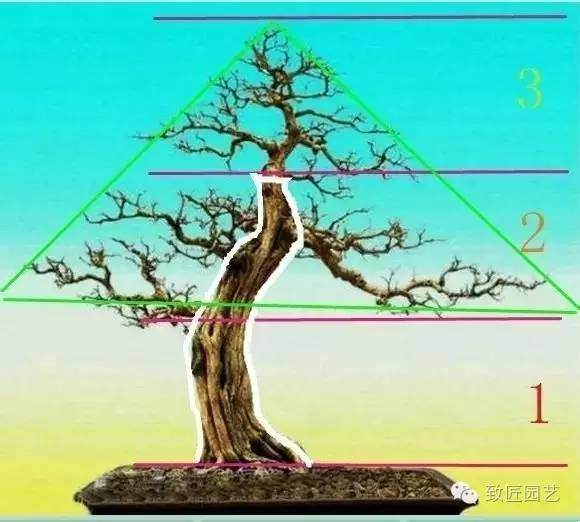 怎样定位裁截树桩盆景的方法