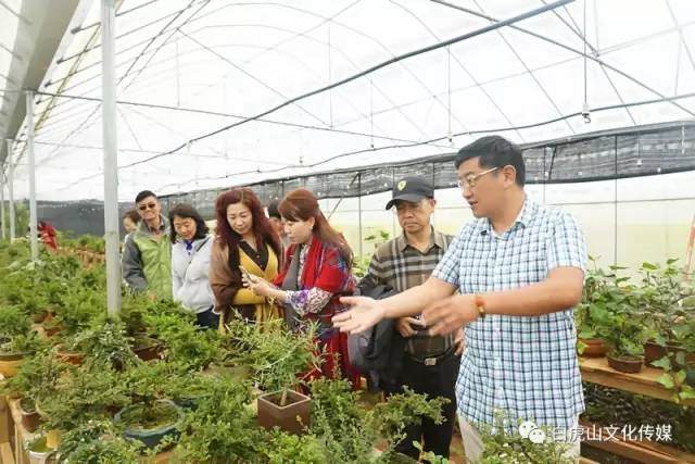 杨昆宁到云南白虎山盆景基地实地参观考察【多图】