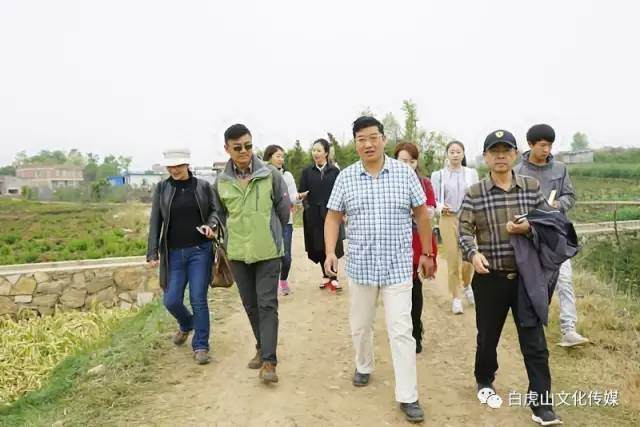 杨昆宁到云南白虎山盆景基地实地参观考察多图