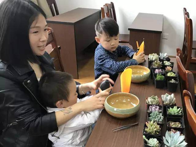 外冈镇开展“国际家庭日”多肉亲子微盆景制作活动