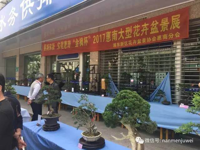 2017年惠南大型花卉盆景展上周举行【图】