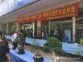 2017年惠南大型花卉盆景展上周举行 图片