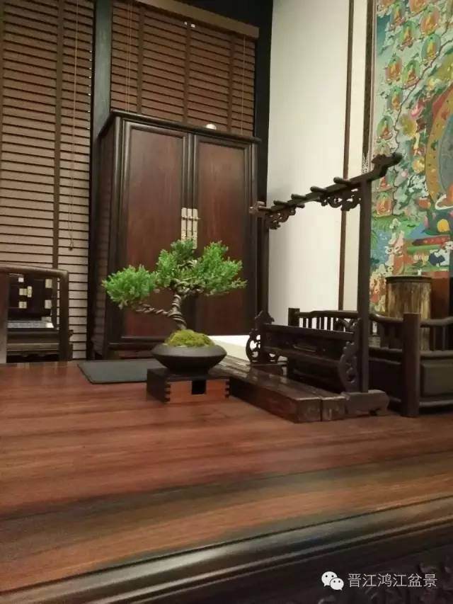 中国盆景历史首次 以盆景产品获得省级伴手礼