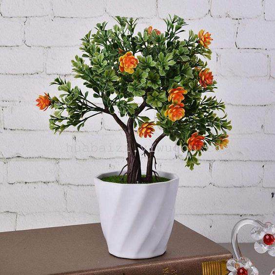 盆栽山茶花落蕾落花的防治【图解】