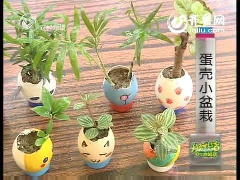 蛋壳盆栽DIY教程:鸡蛋壳变身蛋壳微盆景【图解】