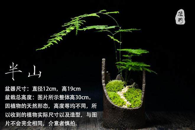 盆栽花盆土壤老板结,植物怎能长得好?