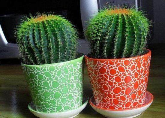 组合盆栽种植七要点——成为花艺师就这么简单【图解】