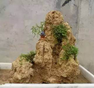 牛人呐绵竹小学保安化身盆景达人 把石头变成盆景