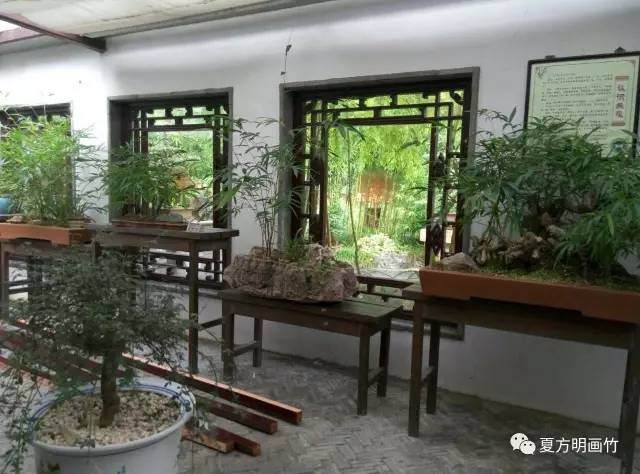 夏方明个园写生&mdash;竹石盆景系列【多图】