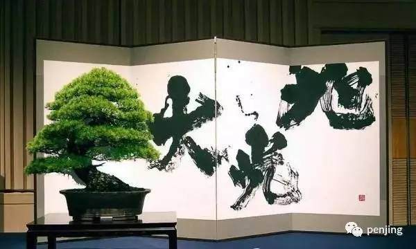 书法映衬盆景，意蕴生辉【多图】