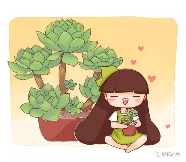 宜章：高山杜鹃移植成盆景【图】