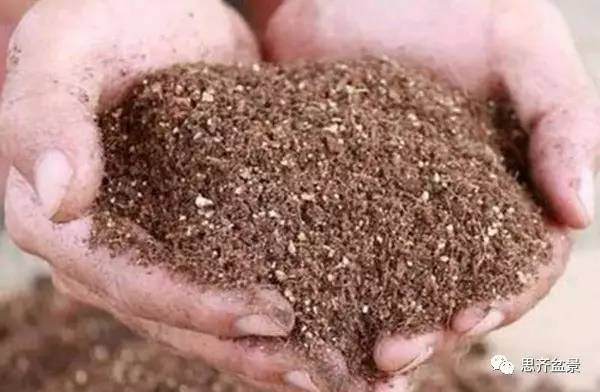 预防盆景盆土板结的方法【多图】