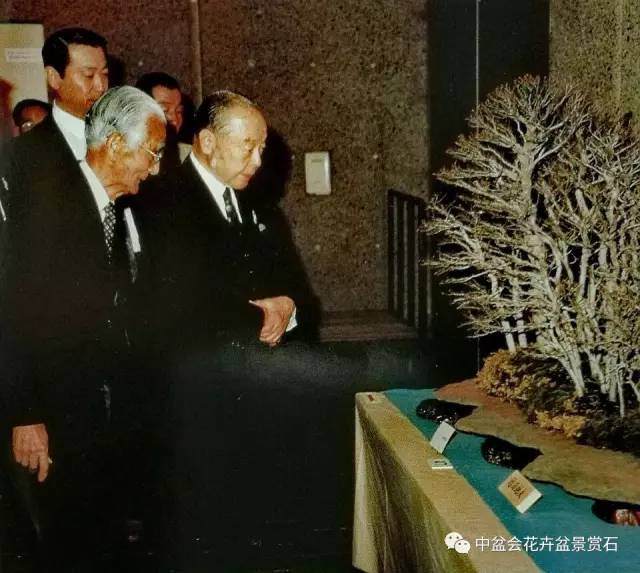 赵庆泉老师参加第八届日本世界盆景大会访谈录