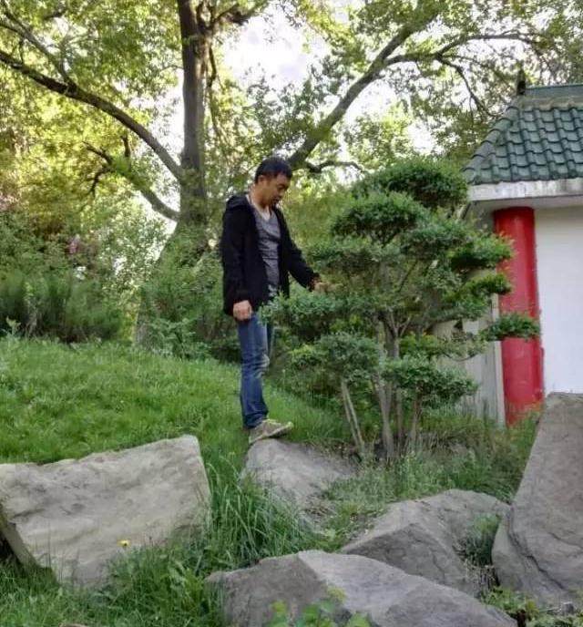 树桩盆景能手李红旗&mdash;&mdash;化作春泥更护花【图】