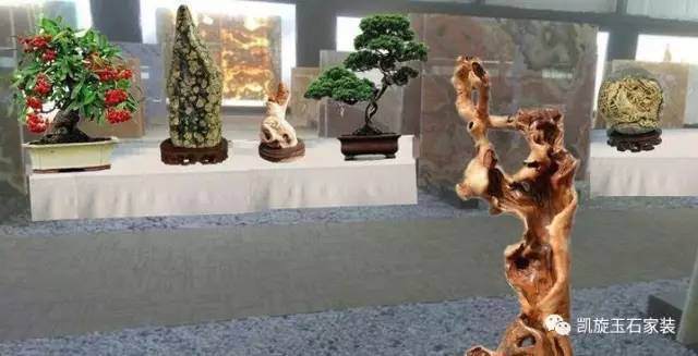 莱州市第二十七届月季花节盆景艺术展【多图】