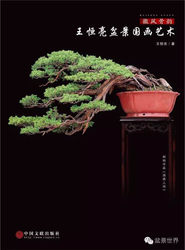 恒亮老师在蚌埠市举办免费盆景制作培训班【图】