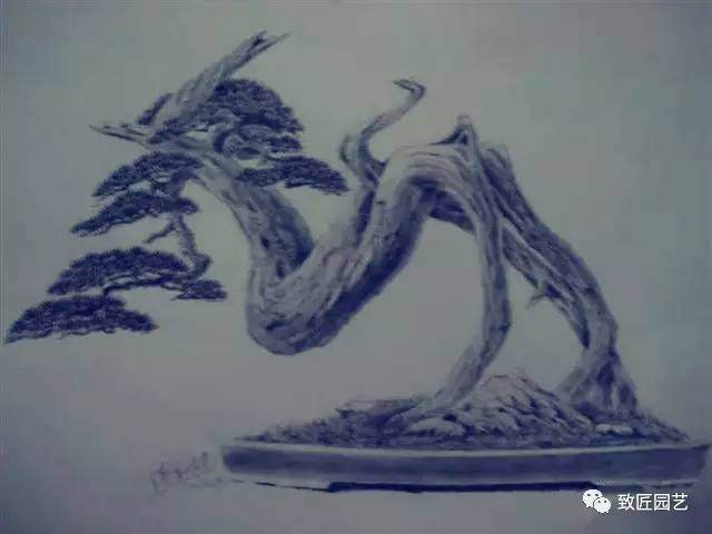 经典盆景图文怎么造型设计 图片