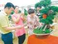 盆景艺术这里最高 赏花购花这里首选